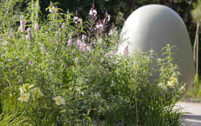 La Balance De Nemesis